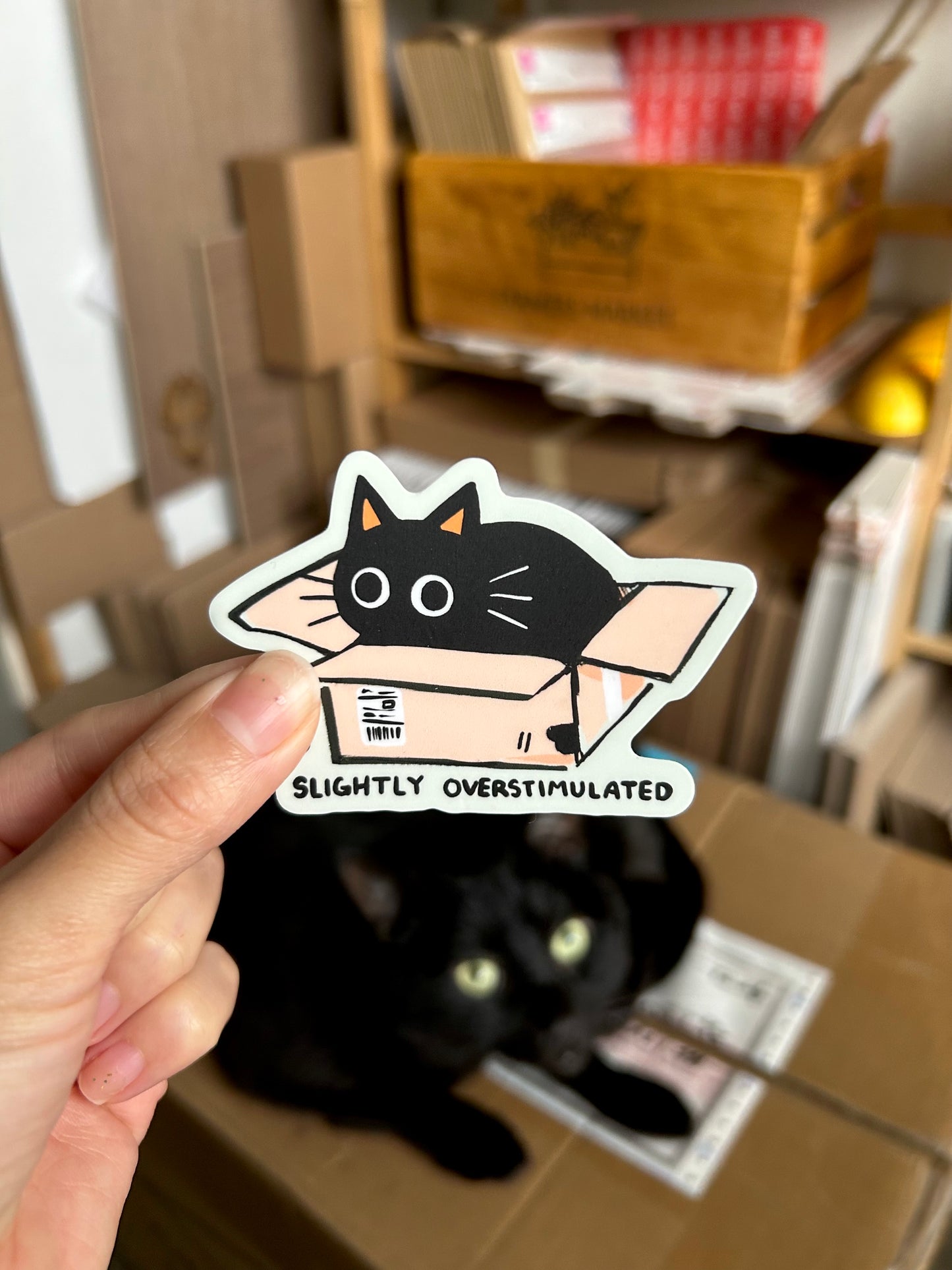 Slightly Overstimulated Sticker